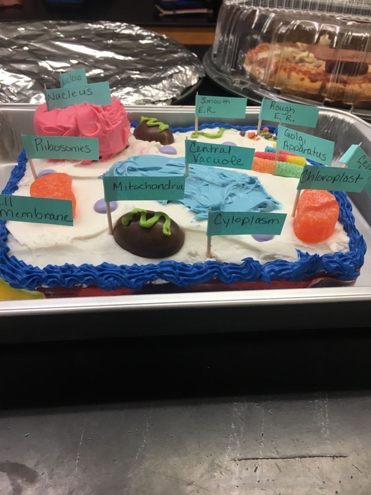 plant cell 3d cake