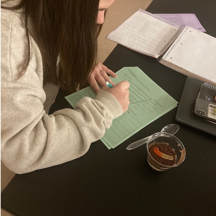 Student working on her lab