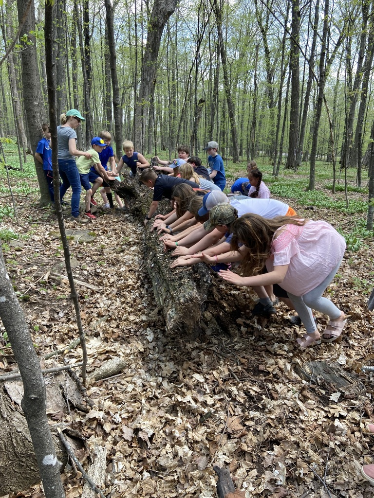 Teamwork to see what's beneath a decomposing log.