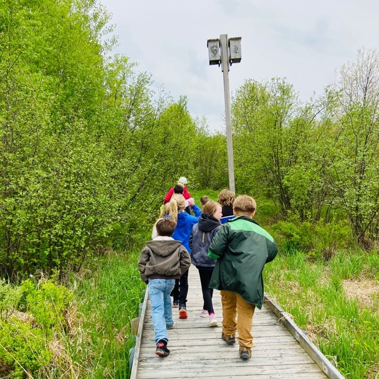 Nature hike through a forested wetland  