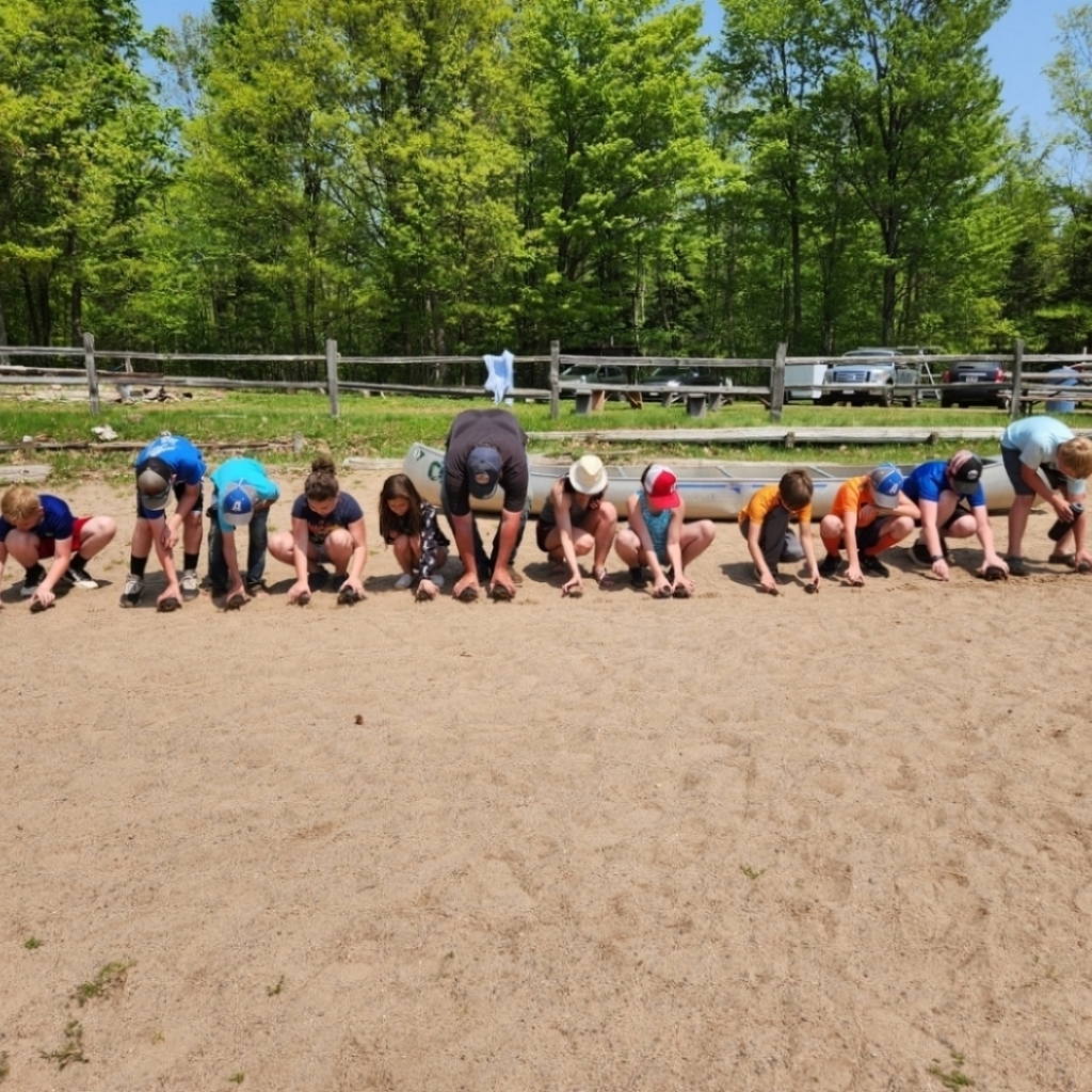 Everyone lines up their turtles on the beach for turtle races.